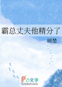 霸总丈夫他精分了全文阅读