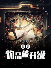 我的物品能升级全文阅读